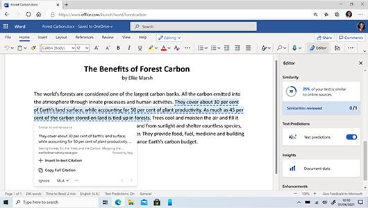 This is an example image